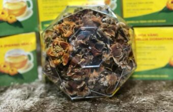 Trà hoa vàng – Nữ hoàng trà giúp kéo dài tuổi thọ, ngừa bệnh cực hay