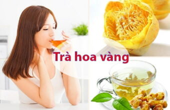 Trà hoa vàng – Đặc điểm, công dụng, cách dùng và giá bán