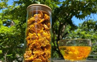 Trà Hoa Vàng Lâm Đồng Tinh Hoa Từ Thành Phố Sương Mù