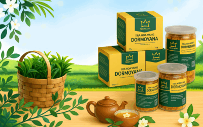 Trà hoa vàng hỗ trợ giảm béo: nghiên cứu 2024